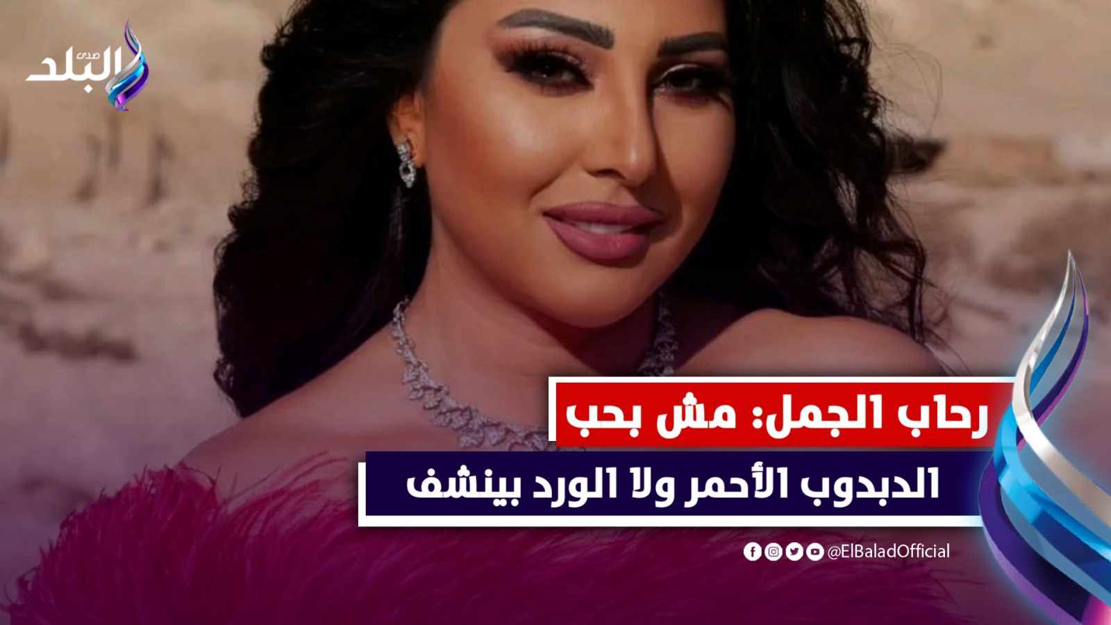 صورة الحب 4 كيلو لحمة وفرختين.. ماذا قالت رحاب الجمل عن الاحتفال بعيد الحب؟