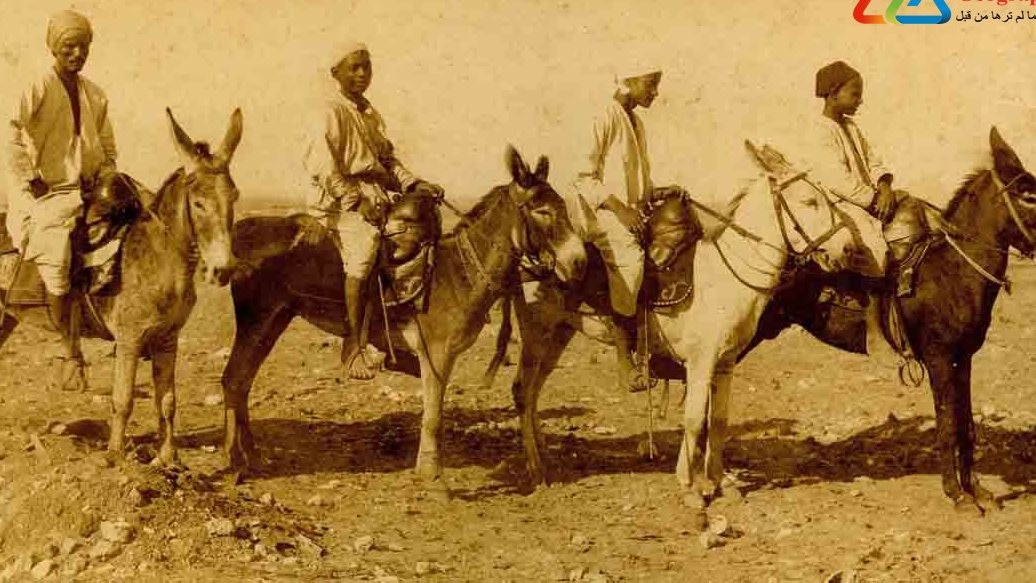 صورة ركوب الحمير والبغال من ذاكرة الأجداد.. تاريخ مهنة المكاري في المحروسة|نوستالجيا