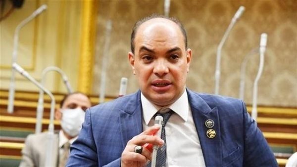 صورة برلماني:الرئيس السيسي يؤسس لدولة عصرية حديثة وحياة كريمة لكل المصريين