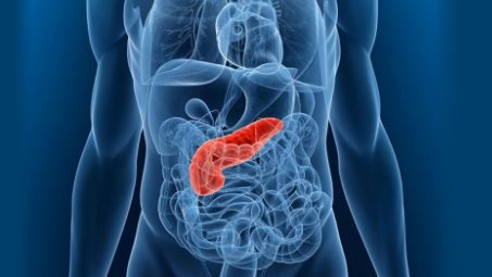 Preserving Pancreatic Health: Tips and Information to Maintain a ...